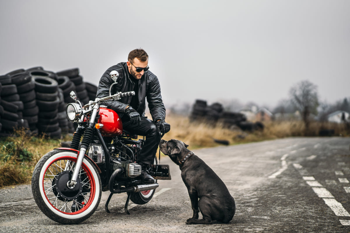 バイクと犬