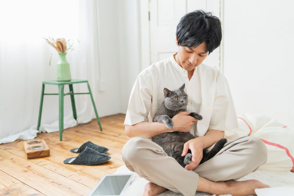 抱かれる猫