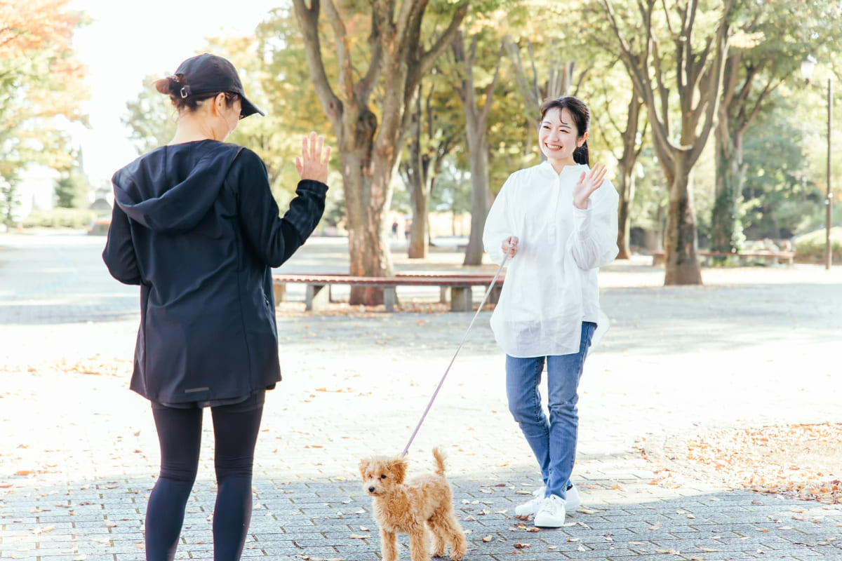 リードにつながれた犬