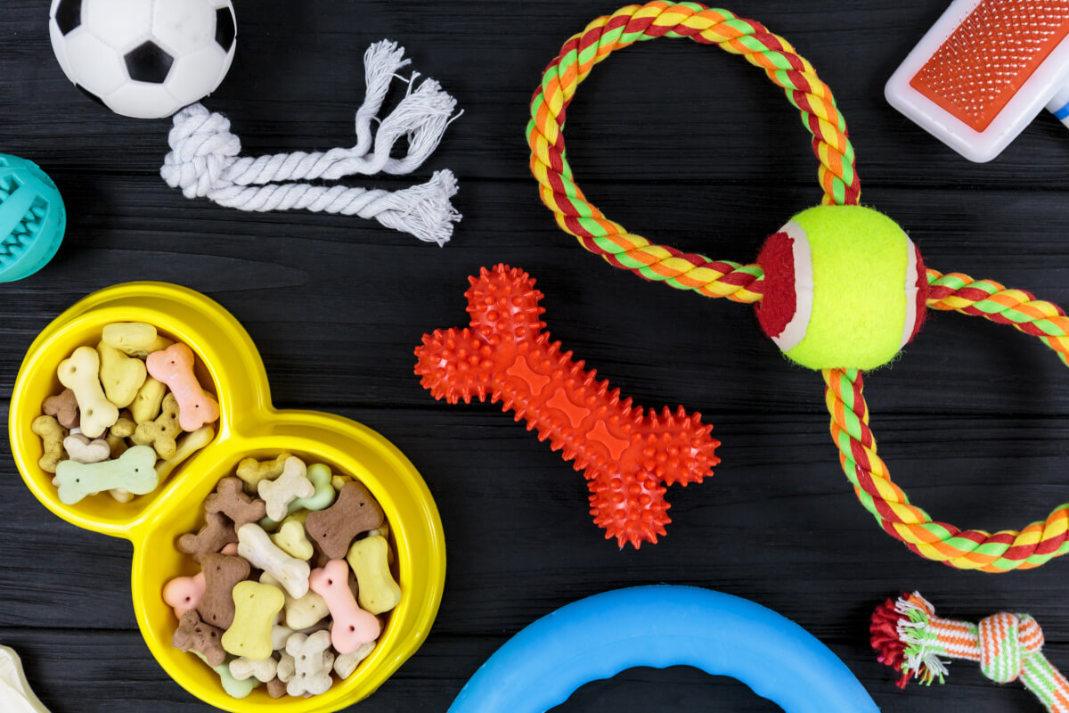 ワンちゃんのおもちゃとご飯